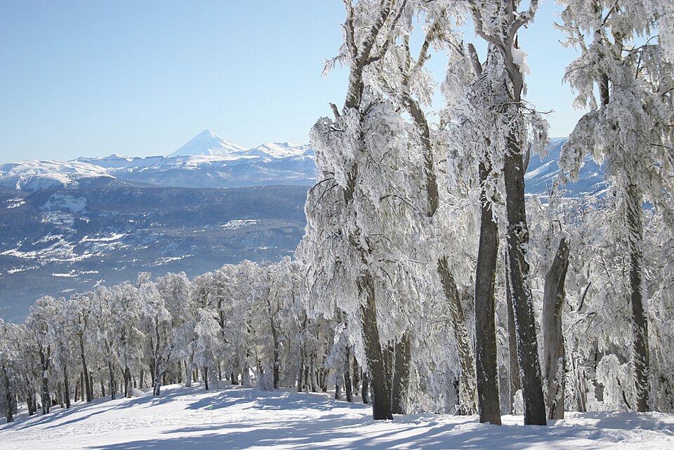 Cerro Chapelco: esquí en invierno, montaña con vistas al lago en verano